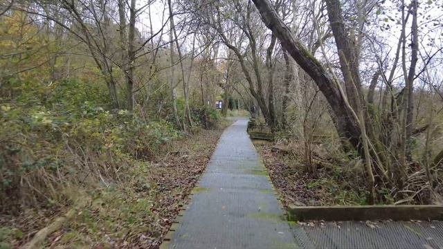Loughgall Country Park DJI Pocket 2 video and Sony RX10 iii Stills смотреть онлайн