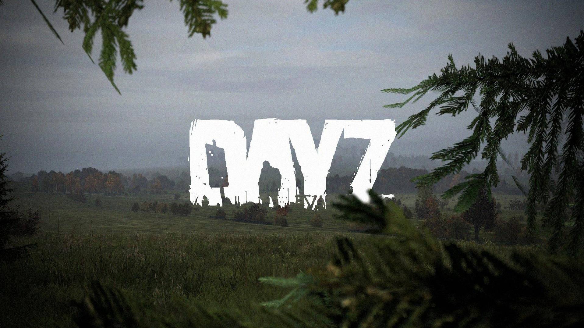 DayZ-Выживание на модовом сервере. смотреть онлайн