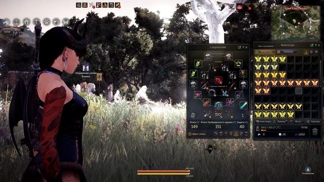 Black Desert Online - Фея 4 ранг с 50 попыток ! смотреть онлайн