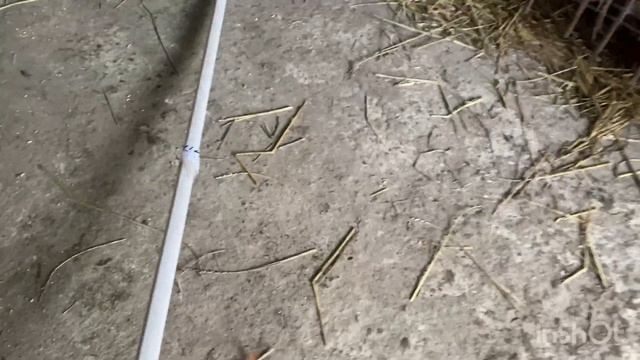 КЛІЄНТІВ БАГАТО ЯЄЦЬ НЕ ВИСТАЧАЄ😂/ПОТРІБНО БІЛЬШЕ ЯЄЦЬ🤨 смотреть онлайн