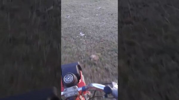 Покатушки на карпатах №2