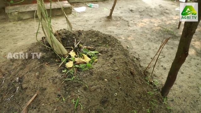 ഗാഗ് ഫ്രൂട്ട് ആലപ്പുഴയിൽ വിജയകരമായി വിളയിച്ചു പ്രമോദ് | Gac Fruit смотреть онлайн