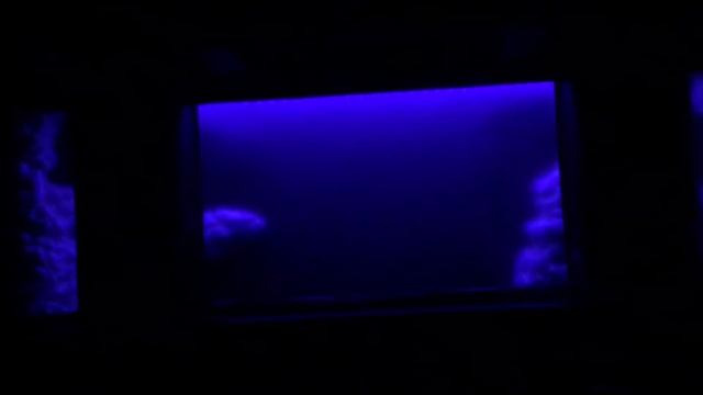 125 Gallon Reef Tank - Shadow Box Background Build - Fabrication (Part 1) смотреть онлайн