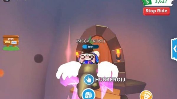 How to get your dream pet ☺️✨💭😍😍🐶