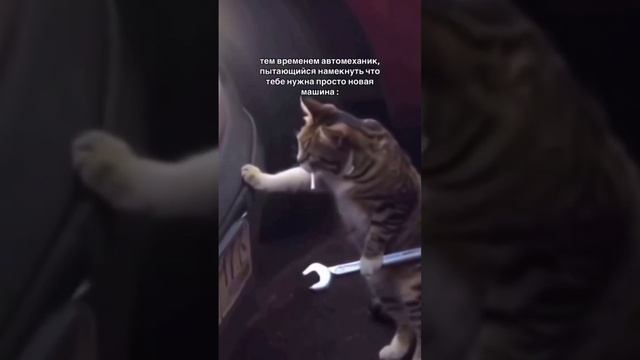 Пластиковые стойки стаба - ТОП, говорили они. 🐃 смотреть онлайн