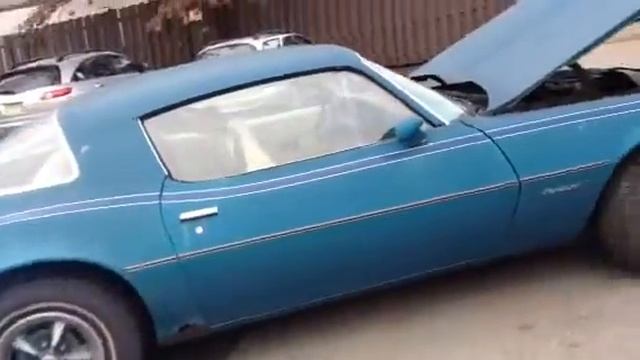 1978 Pontiac Firebird смотреть онлайн