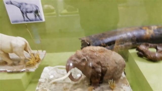 новый краеведческий музей Актобе Обзор от Амана смотреть онлайн