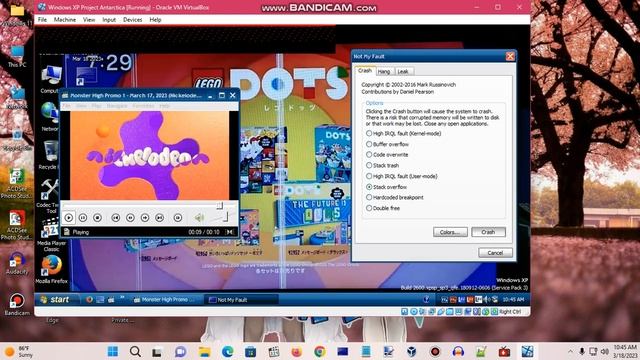 Windows XP BSOD 723 (2023) смотреть онлайн