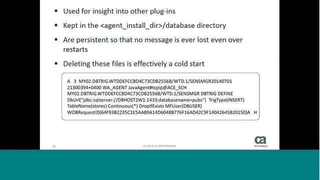 How to use the CA Workload Automation Agent logging facilities during the problem resolution proces смотреть онлайн
