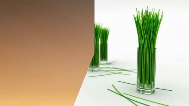 wallpaper Slideshow смотреть онлайн