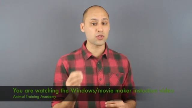 Three steps to successful animal training (Windows version) смотреть онлайн