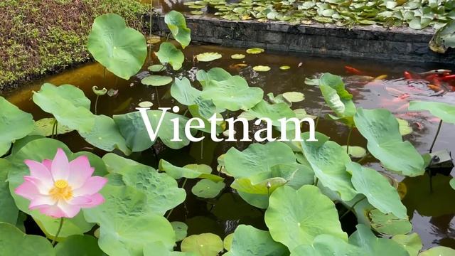 Tiny Wanders - Vietnam chapter launch - take a walk in Vietnam смотреть онлайн