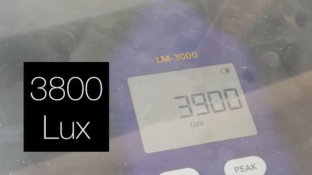 || EXPERIMENTING WITH NEW LIGHT METER APP || смотреть онлайн