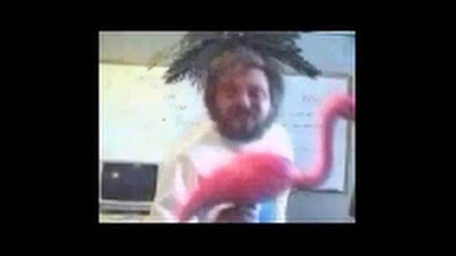 Windows 3 1 Flamingo video test file смотреть онлайн