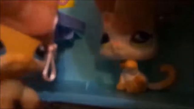 ♬Littlest Pet Shop♬ XоХ (1 Часть) смотреть онлайн
