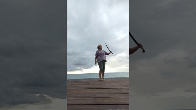 petal_20241015_173326.mp4