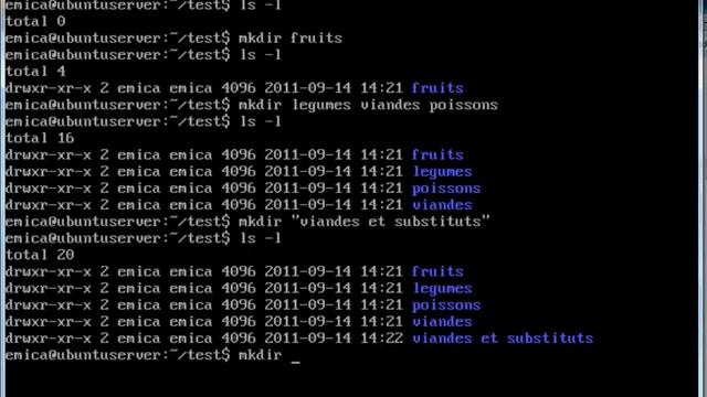Linux_ubuntu_server - arborescences de repertoires - mkdir-rmdir-tree.avi смотреть онлайн