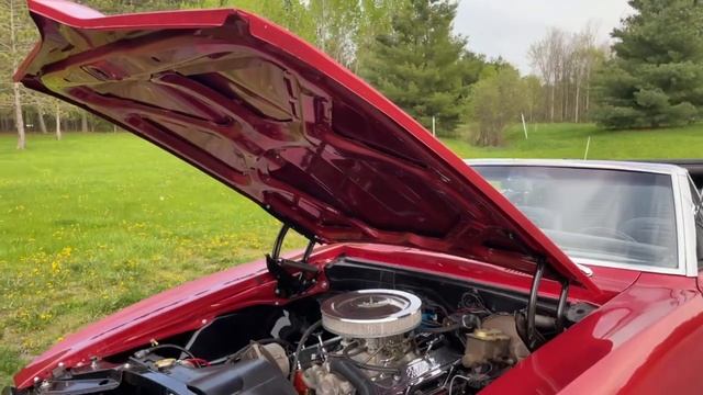 Hood Opening/Closing Video | 1967 Pontiac Firebird | Collector Car Canada Lot 103 смотреть онлайн