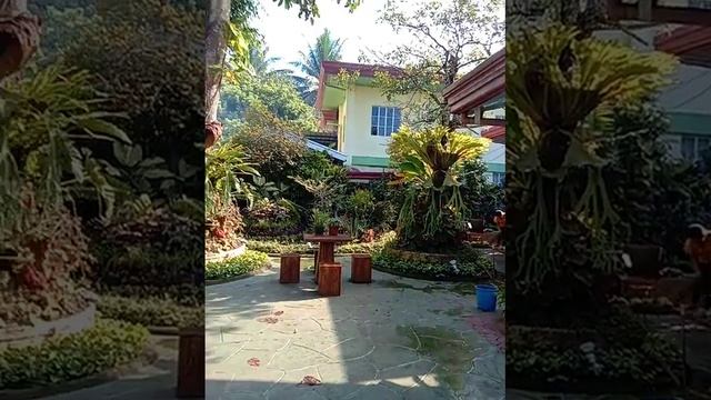 #fiesta #@maco de oro #liveband later🎵🎼🎶 смотреть онлайн