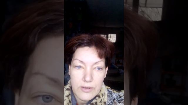 Жуки знахари смотреть онлайн