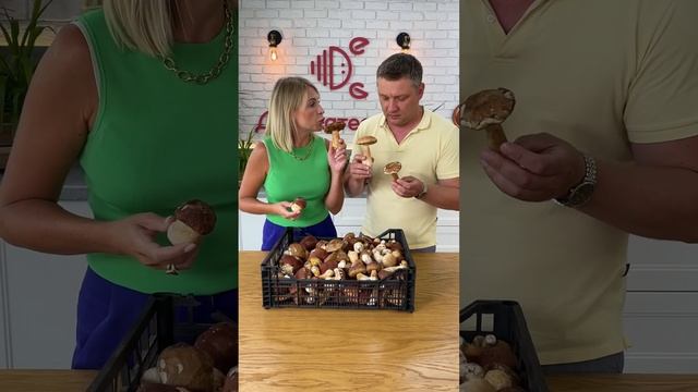 Грибы белые свежие смотреть онлайн