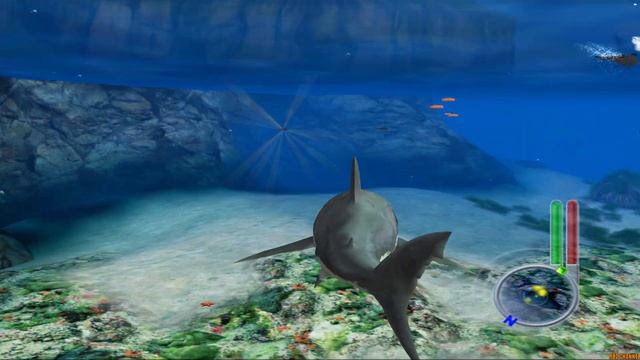 Jaws Unleashed PS2 Gameplay HD (2006) pcsx2 setup Latest 2023 смотреть онлайн
