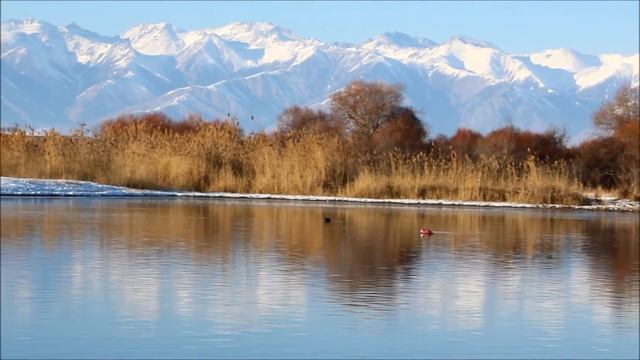 issyk kul view in winter p-raj смотреть онлайн