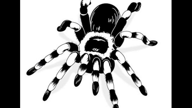 Pleasurekraft- Tarantula(George R. Remix) смотреть онлайн