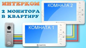 Видеодомофон Тантос, два монитора к одной панели