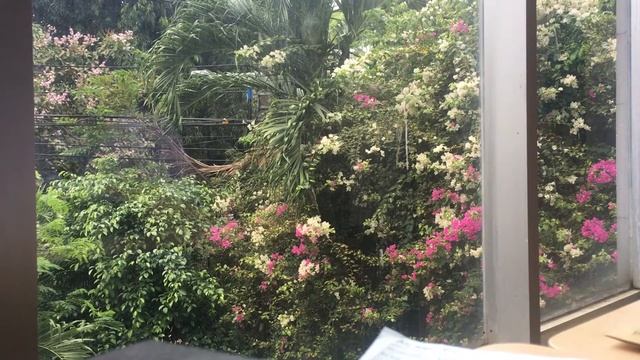 Relaxing video & Music - View From My Office Window 3 - Hungarian Rhapsody No. 2-Franz Liszt смотреть онлайн