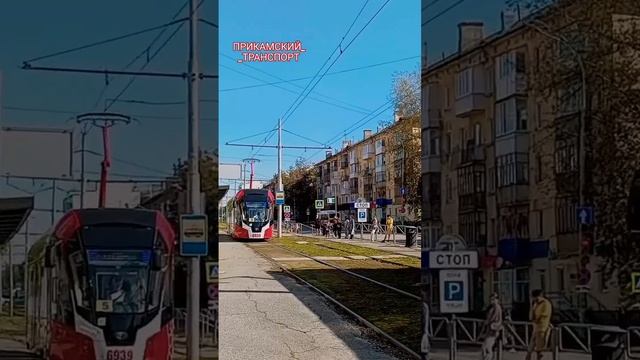 Львиная стая #пермскийтранспорт #пермь #пермькрасивая #трамвай