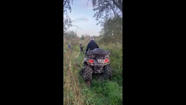 Чутка катНули . смотреть онлайн