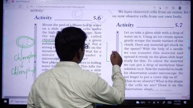 Class 9th ( Pre foundation batch) (live class-08) смотреть онлайн