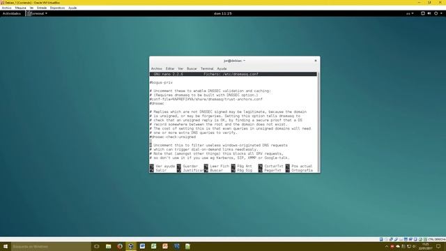 DNS Debian dnsmasq смотреть онлайн