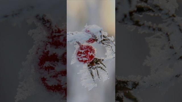 Ыйман бутактары Алланы зикир кылуу #АЛЛАХ#зикр#аудио китеп# смотреть онлайн