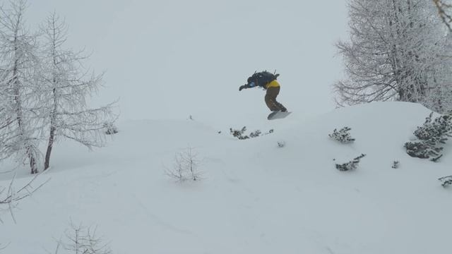 2324 Bataleon - PartyWave+ смотреть онлайн