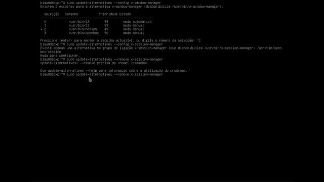 i3wm: startx e uma introdução ao 'tbsm' смотреть онлайн