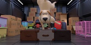 Корги по имени Моко. Домашние животные 2, 11 серия. В самолёте