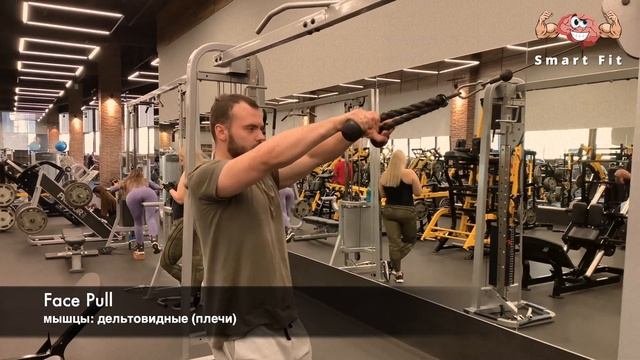 упражнение Face Pull (фейспул) смотреть онлайн