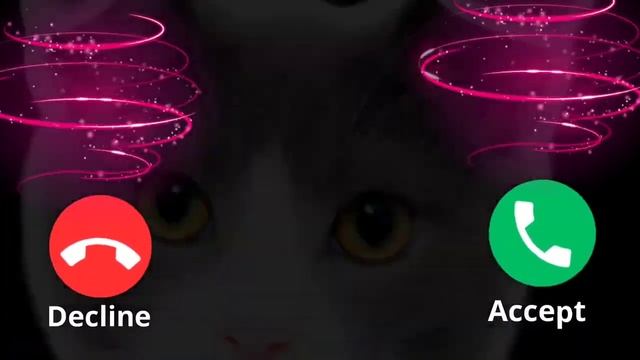 🐈Cat ringtone/ Apple ringtone/iPhone 13 pro👉 max EP.23 смотреть онлайн