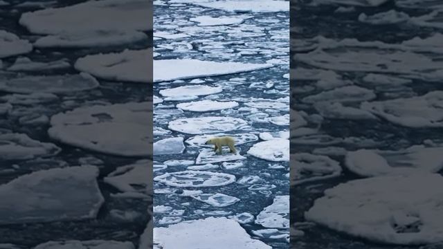 Как жить в этом бушующем безумном мире?...Спокойно и без суеты... смотреть онлайн