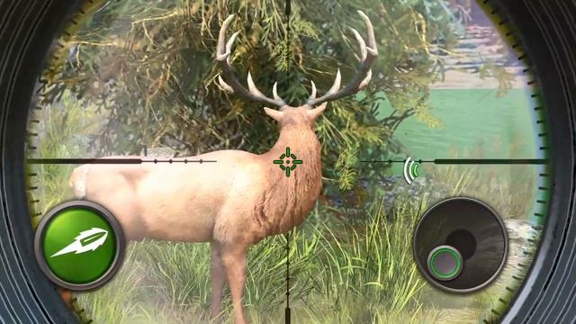 Hunting Clash: Hunter Games - Shooting Simulator - Gameplay смотреть онлайн