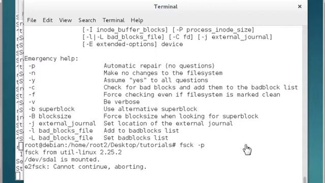 fsck - File System Consistency Check [Debian Linux] смотреть онлайн
