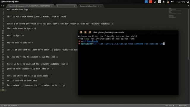 How To Install & Use Lynis - Security auditing tool (video) смотреть онлайн
