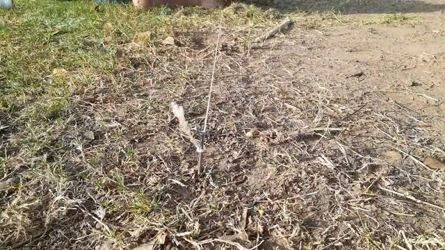 11 de octubre de 2020 смотреть онлайн