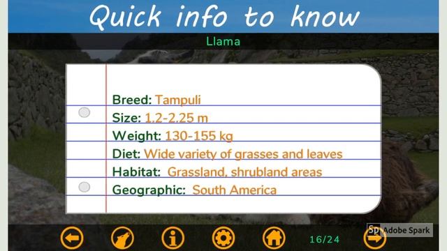 Animal Sounds - Album for Kids. Android app for learning animals смотреть онлайн