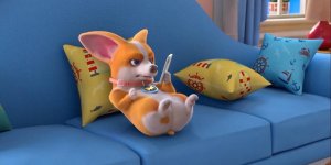 Корги по имени Моко. Домашние животные 2, 96 серия. Поделиться видео