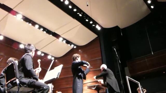 Flu Season Violin Philharmonic