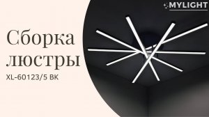 Сборка светодиодного светильника XL-60123/5 SBK