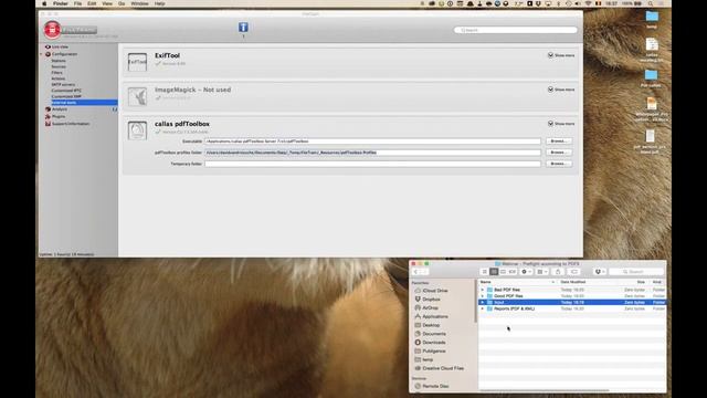 FileTrain, an extensive introduction смотреть онлайн